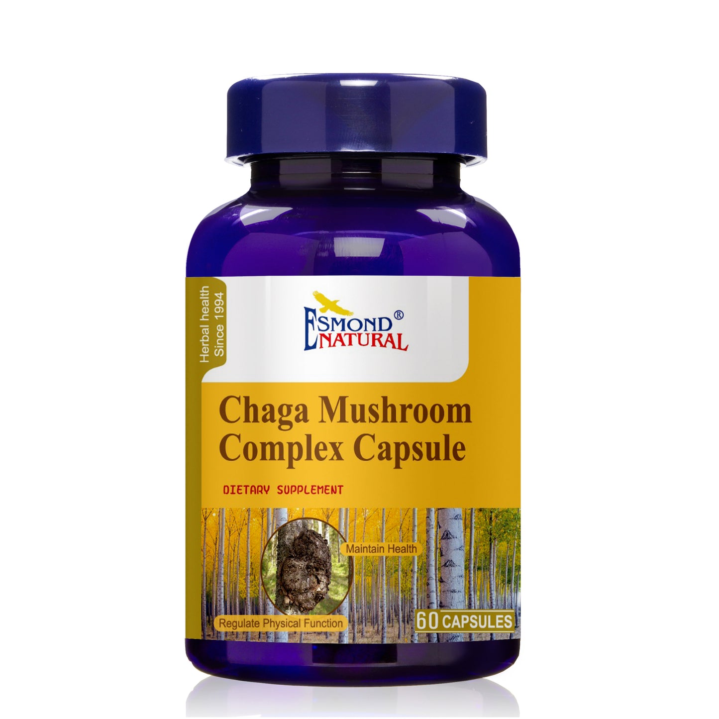 Chaga Mushroom Complex (Supports Immune System, Focus, Clarity, Memory. Great source of antioxidants), USA, FDA, GMP, NPAC-300mg, 60 Capsules